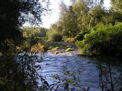 39149 (a): :1280x960